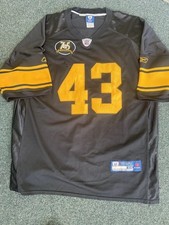Top 25 NFL Jersey Sales From 2010 Season: Polamalu, Tebow, Cowboys 31