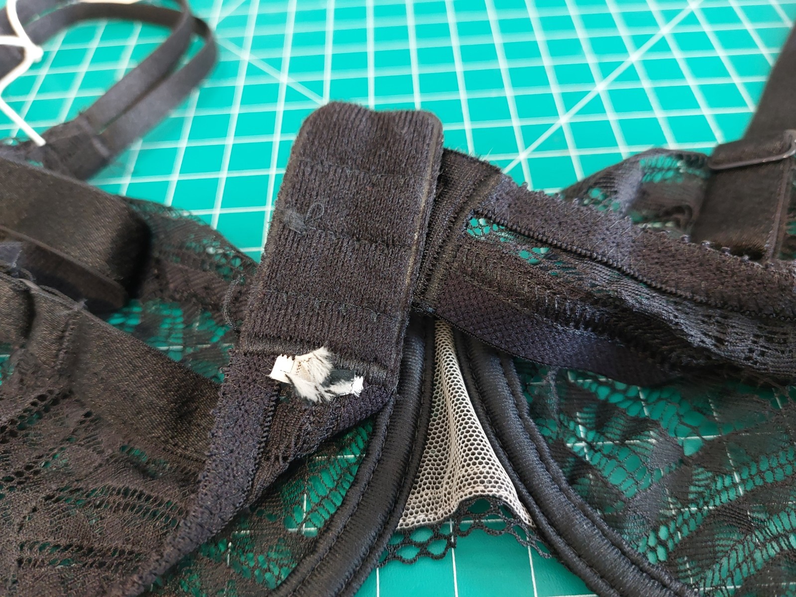 Picture 6 of 8