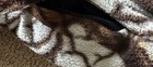 Bild 4 von 6