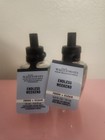 2 BATH & BODY WORKS ENDLESS WEEKEND WALLFLOWER FRAGRANCE REFILL BULB PLUG IN LOT