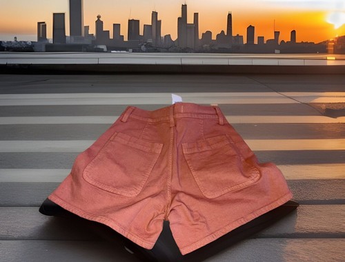 MADEWELL WOMENS SHORT PANTS (New W/Tags) Size 24 - Picture 1 of 8