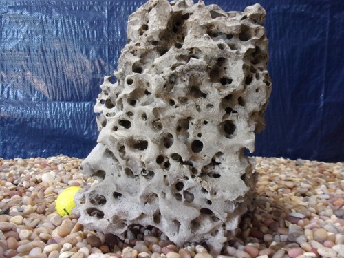 Texas/Tennessee Holey Rock, Aquarium, Fish Decorations, Honeycomb Limestone - Picture 3 of 5