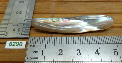 ABALONE PERLMUTT Naturblütenblatt - tolle Reflexe 3,2g - Reiki Lithotherapie - Bild 1 von 4