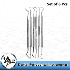 6 Pcs Jaquette & Sickle Scaler Anterior Posterior Dental Periodontal Instrument 