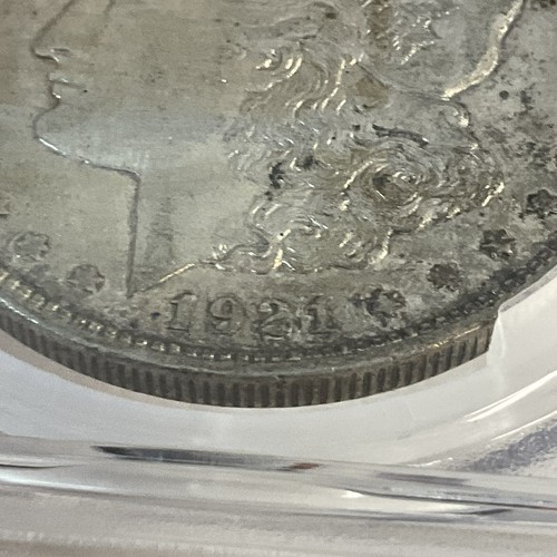Dólar de plata Morgan 1921-D $1 graduación profesional AU50 Gnumismatist GnuCoins - Imagen 11 de 18