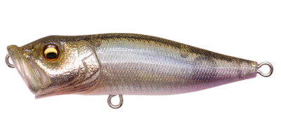 Megabass Pop X 1/4 oz Topwater Popper Lure - Choose Color | eBay Megabass Pop X 1/4 oz Topwater Popper Lure - Choose Color | eBay