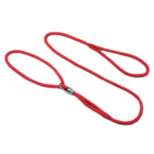 Correa para perro de nailon - correa para perros de 1,2 m correa para espectáculos correa para perros - Imagen 13 de 36