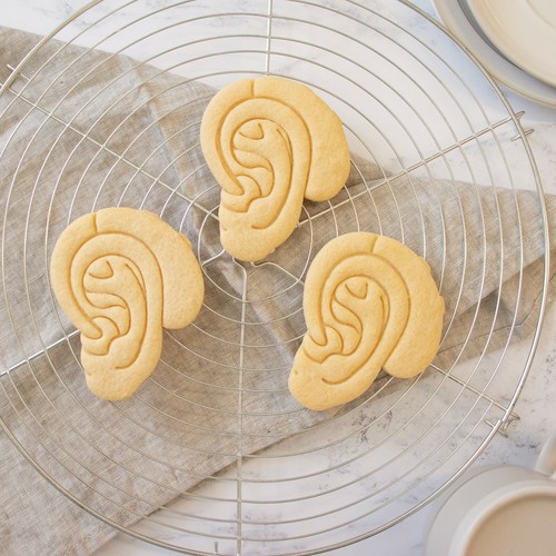 Hearing Aid cookie cutter | audiologist human ear audiology ENT otolaryngology - Picture 3 of 6