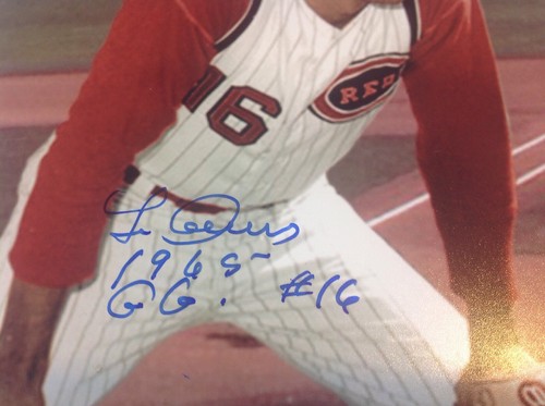 Leo Cárdenas 8x10 Cincinnati Reds 1965 G. Guante Autógrafo Foto D1 - Imagen 2 de 3