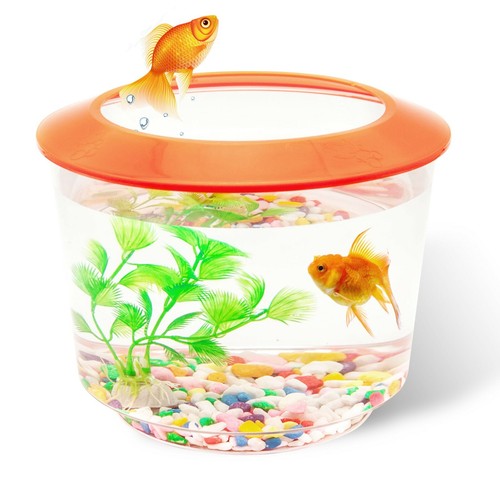Goldfish Small Fish Bowl Fish Tank Starter Kit Aquarium Gravel Ornamental Plant - Picture 3 of 9
