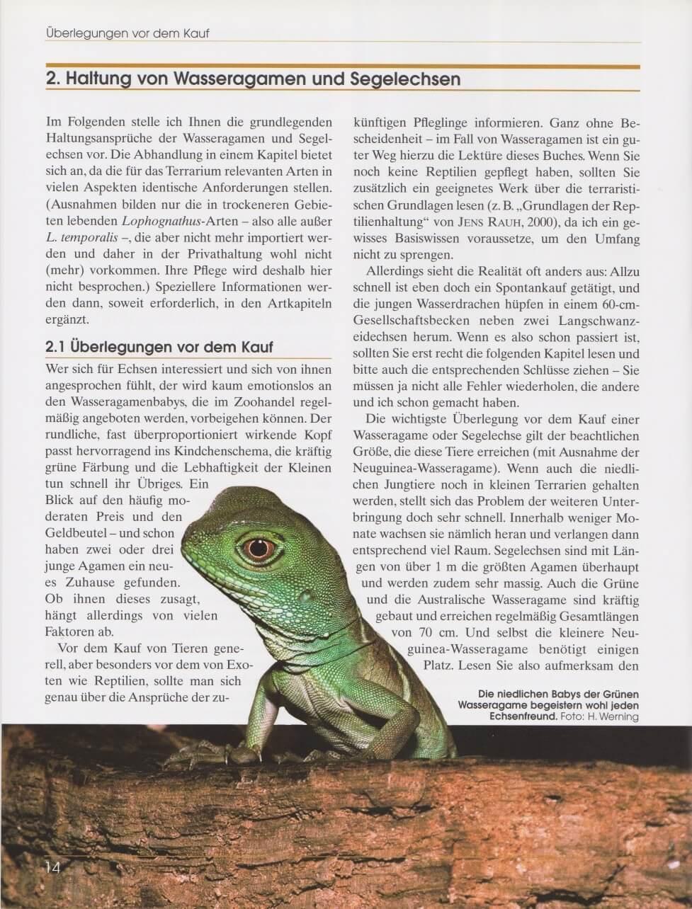 Thumbnail - Wasseragamen Und Segelechsen, Heiko Werning