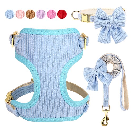 Pettorina+Guinzaglio+Collare per cani gatti Taglia Piccola Imbracatura Papillon - Picture 1 of 41