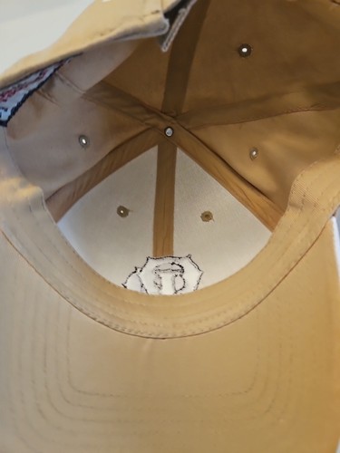 Gorra/gorra de béisbol Old Dominion Trucking Co. bronceada ayudando al mundo a cumplir promesas - Imagen 6 de 6