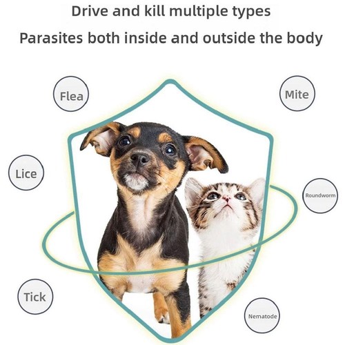 Pet Anthelmintics for Cats and Dogs Dog Dewormer - (6 tablets) HOT - Bild 8 von 12