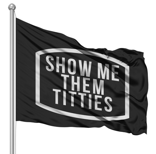 Show me them titties Flag 3x5 ft Polyester American Flag Banner Decor NEW funny - Picture 2 of 6