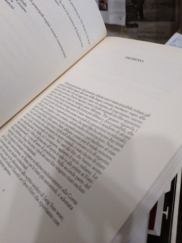 Cazzaro Spagnoletti il cinema sudcoreano contemporaneo e l'opera di Jang Sun Woo - Picture 5 of 6