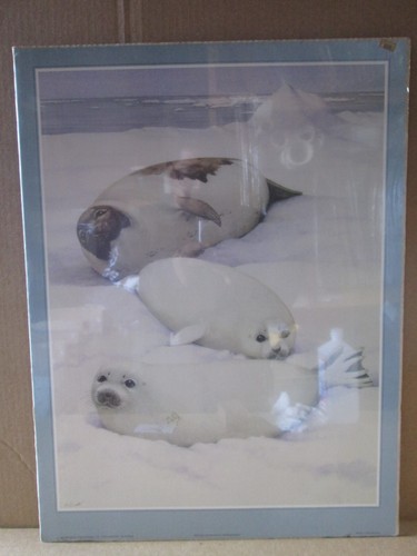 SEALS BY PETER BARRETT 1982 VINTAGE POSTER CNG3156 - Bild 1 von 5