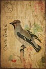 Carte Postale Tropical Bird Art, Aged Look Vintage Retro Style Metal Sign Plaque