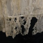 Bild 8 von 24