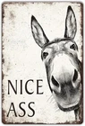 Funny Bathroom Tin Metal Signs Home Décor 8x12 Humorous Nice Ass, Vintage Cute D