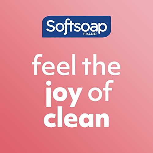 Softsoap Burro di Cocco Scrub Esfoliante Lavaggio Corpo Confezione da 4 20 Fl Oz - Foto 10 di 13