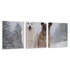 3pcs German Shepherd Dog in Winter Wall Art Canvas Framed 50x70cm