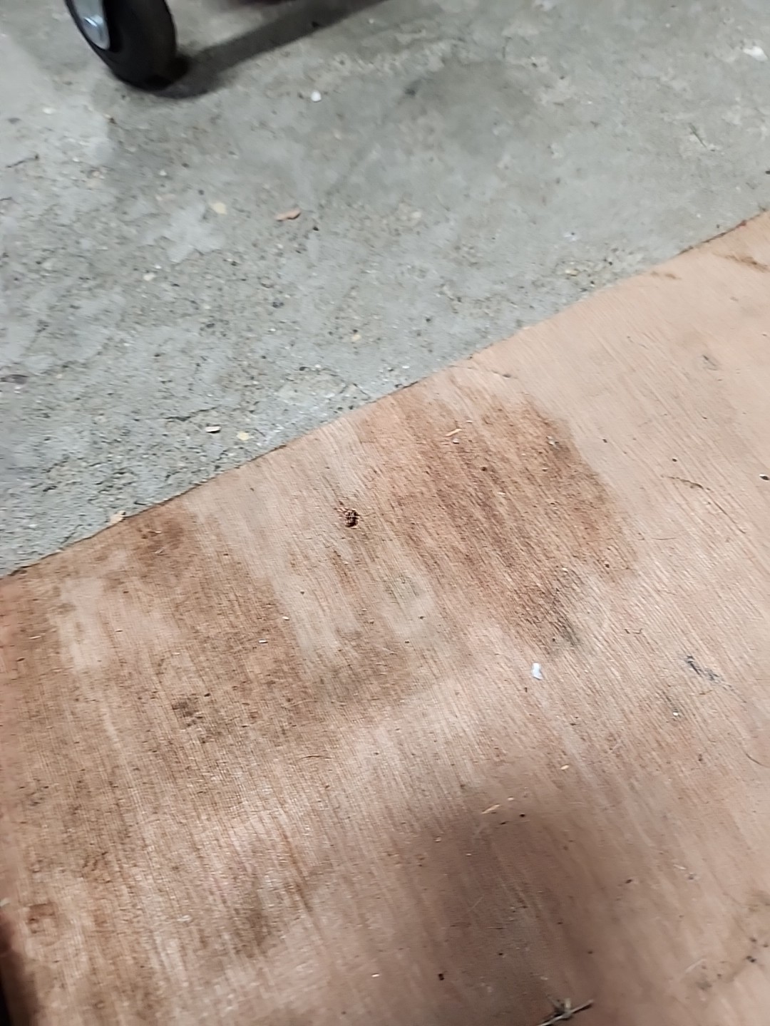 Picture 4 of 4