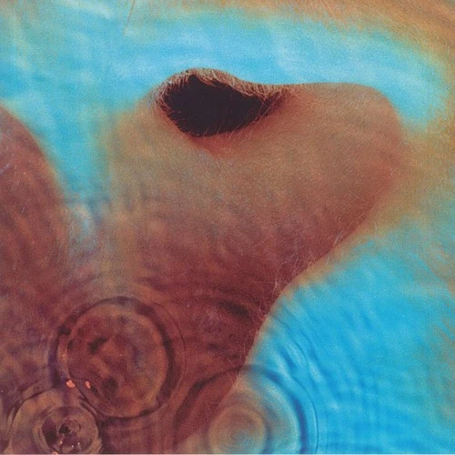 PINK FLOYD - Meddle (remastered) - Vinyl (gatefold 180 gram vinyl LP)
