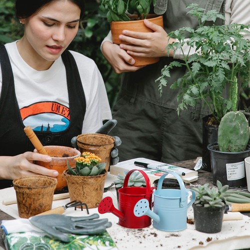  2 Stück Wasserkocher für Blumen Garten Duschkanne Metall Beregnung - Bild 2 von 12