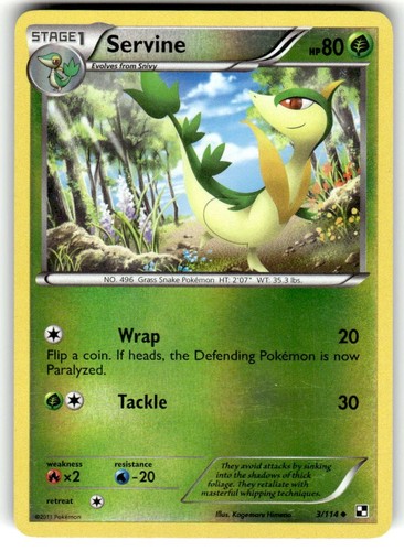 Servine 3/114 holograma inverso blanco y negro - Imagen 1 de 2