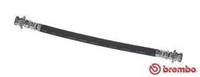Brembo Bremsschlauch Essential Line Hinten Links Rechts T 10 002