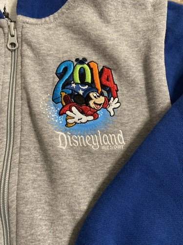 Walt Disney World Youth Full Zip Hoodie 2014 Rare Large - Picture 2 of 4