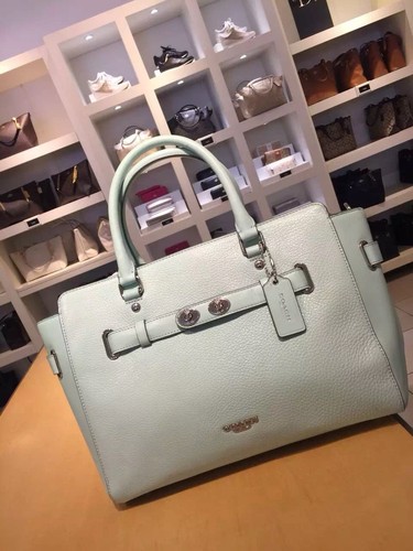 Mintgrüne Leder Tragetasche Tasche Umhängetasche Struktur Handtasche - Bild 14 von 14