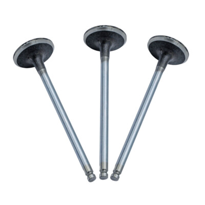 3x Einlassventil für Citroen Opel Peugeot 1.2 R6952/S 1608838680