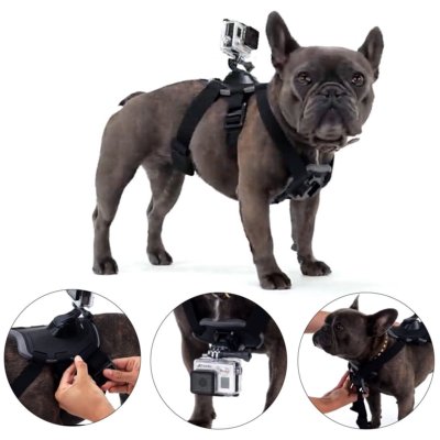 gopro dog collar