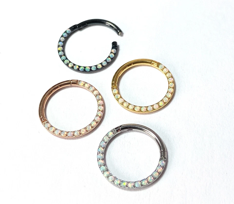 1 pieza Grado Implante Titanio Ópalo Pavimentado Frontal Bisagras Segmento Anillo Clicker Tabique Foto 4 de 4