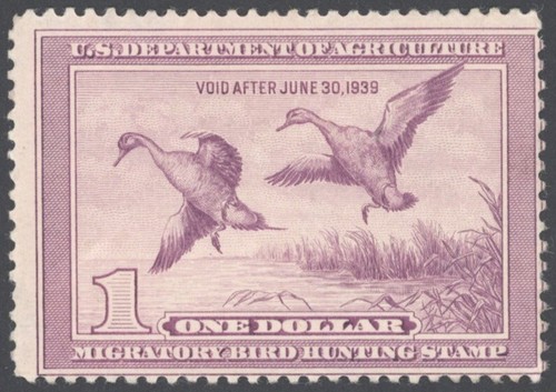 1938 US Scott #RW5, $1 Pintail Drake and Hen, Federal Duck Stamp MH, Gum Issues