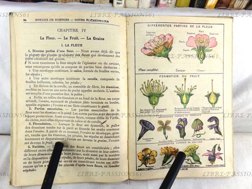 LES SCIENCES PHYSIQUES & NATURELLES, A. BREMANT, LIBRAIRIE HATIER, 1930 - Picture 9 of 12