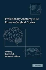 Evolutionary Anatomy of the Primate Cerebral Cortex by Professor Falk, Dean: New