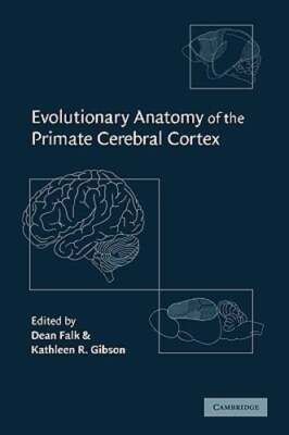 Evolutionary Anatomy of the Primate Cerebral Cortex by Professor Falk, Dean: New