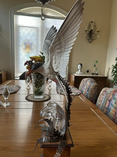 21" ARCTIC TERN BIRD STATUE - ALBANY L.E. & SIGNATURE - Picture 5 of 11