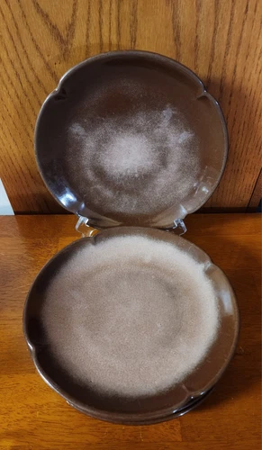 Vintage Frankoma Pottery Plates 5F SET OF 4 Plainsman Brown Satin 9.5" Diameter