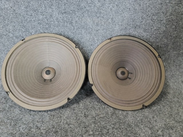 peavey black widow 10 speaker