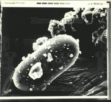 1971 Press Photo Moon soil magnified showing ellipsoid shape of particle, GA