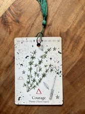 Green Witch Oracle Tarot Bookmark Botanical Garden Magick Card Deck #13 Courage