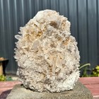 Picture 7 of 19
