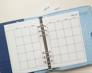 A5 WO2P Week on 2 pages PLanner Insert Refill Daily Weekly Plan Monthly Yearly