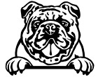 English Bulldog Cute Peeking Dog 4" Magnet Fridge Magnet Dog Mom Dog Dad ðŸ¶