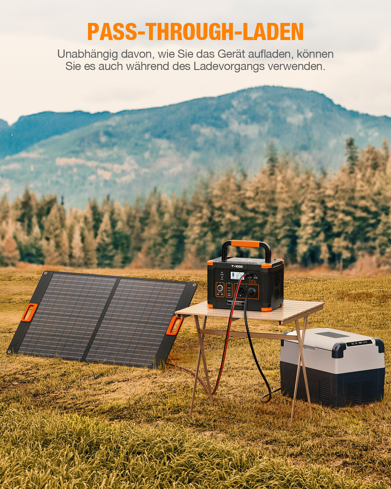 Bild 8 von 9