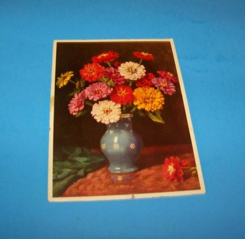 Vintage STFZ Stehli Freres  Postcard  Switzerland   No. 2040  Berger - Picture 1 of 2